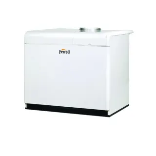 Чугунный котёл Ferroli PEGASUS F3 N 255 2S, 153–255 кВт