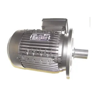 Двигатель AEG 2200W LMB LO, G 1300 Lamborghini 3981D250