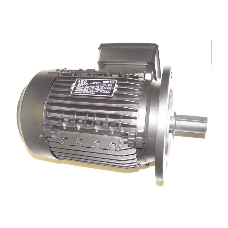 Двигатель AEG 2200W LMB LO, G 1300 Lamborghini 3981D250