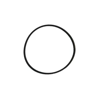Прокладка ТЭНа-O-Ring 4537 FPM (VITON) Lamborghini Z303001020
