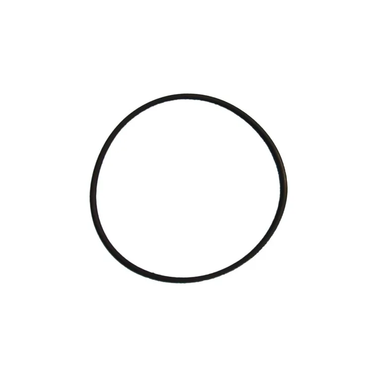 Прокладка ТЭНа-O-Ring 4537 FPM (VITON) Lamborghini Z303001020